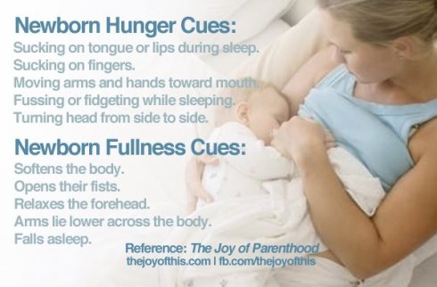Hunger Cues For Newborns