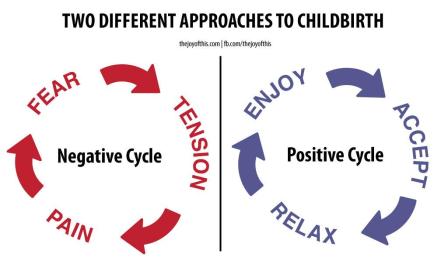 463616_385472598206247_1002360832_o